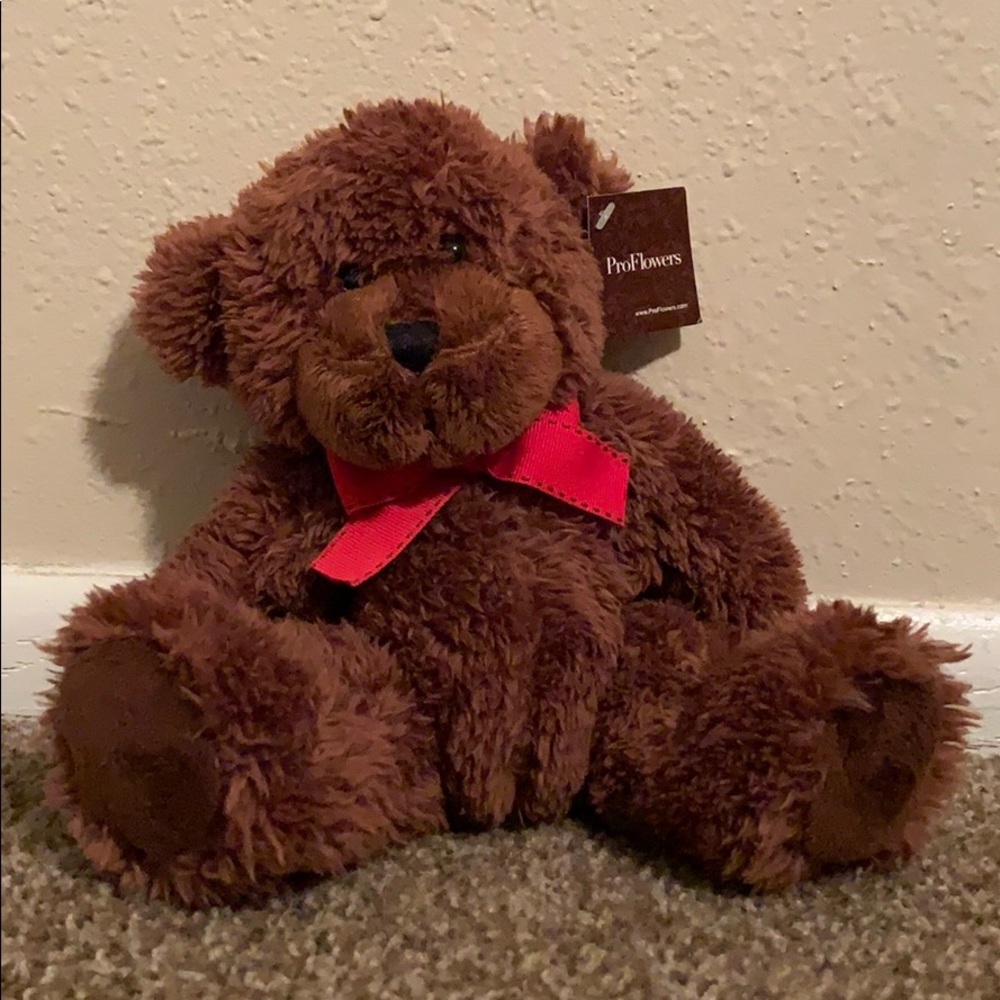 Brown Teddy Bear